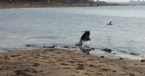 FullSizeRender[48] (1)